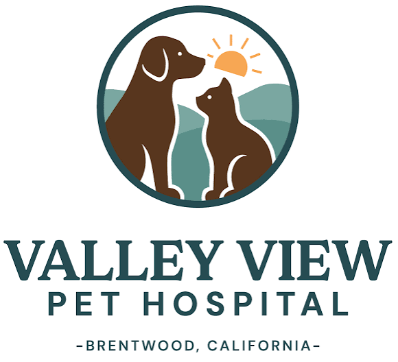 Valley View Pet Hospital